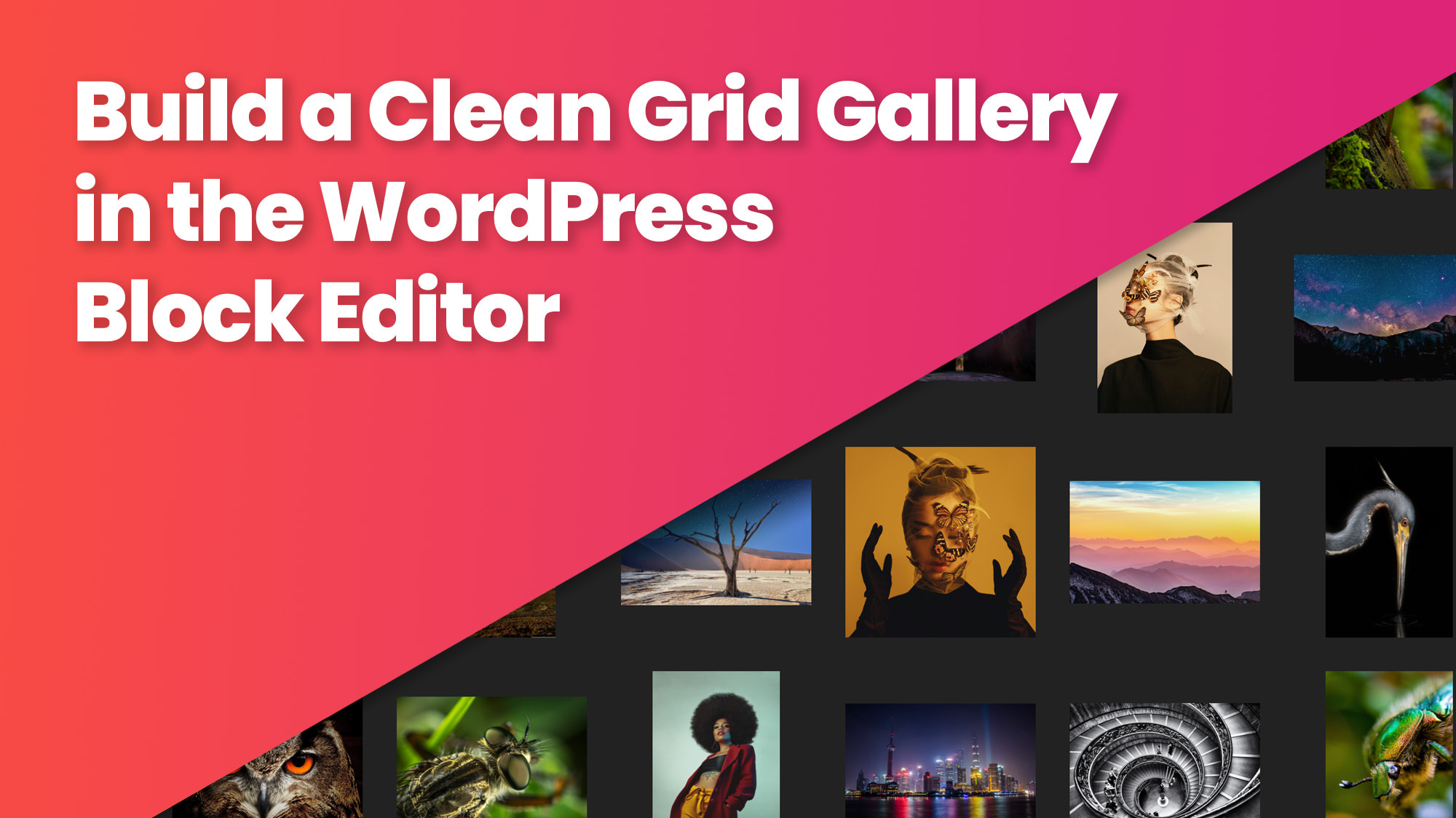 Build a Clean Grid Gallery in the WordPress Block Editor