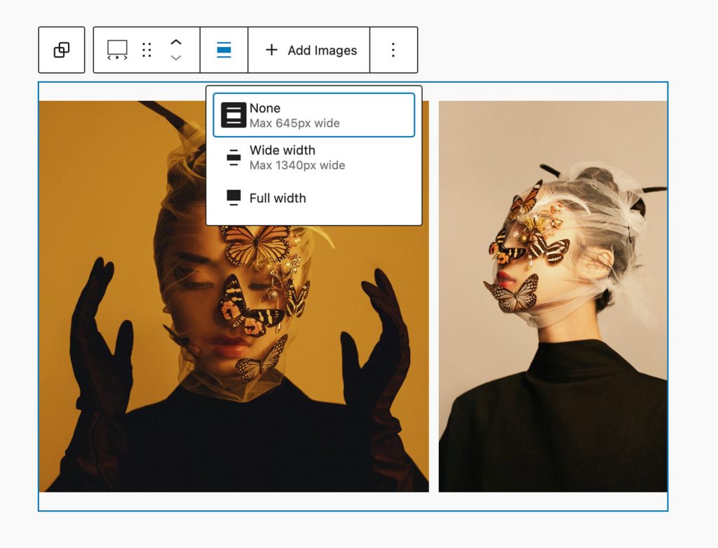 View of the Carousel Gallery Block alignment controls.