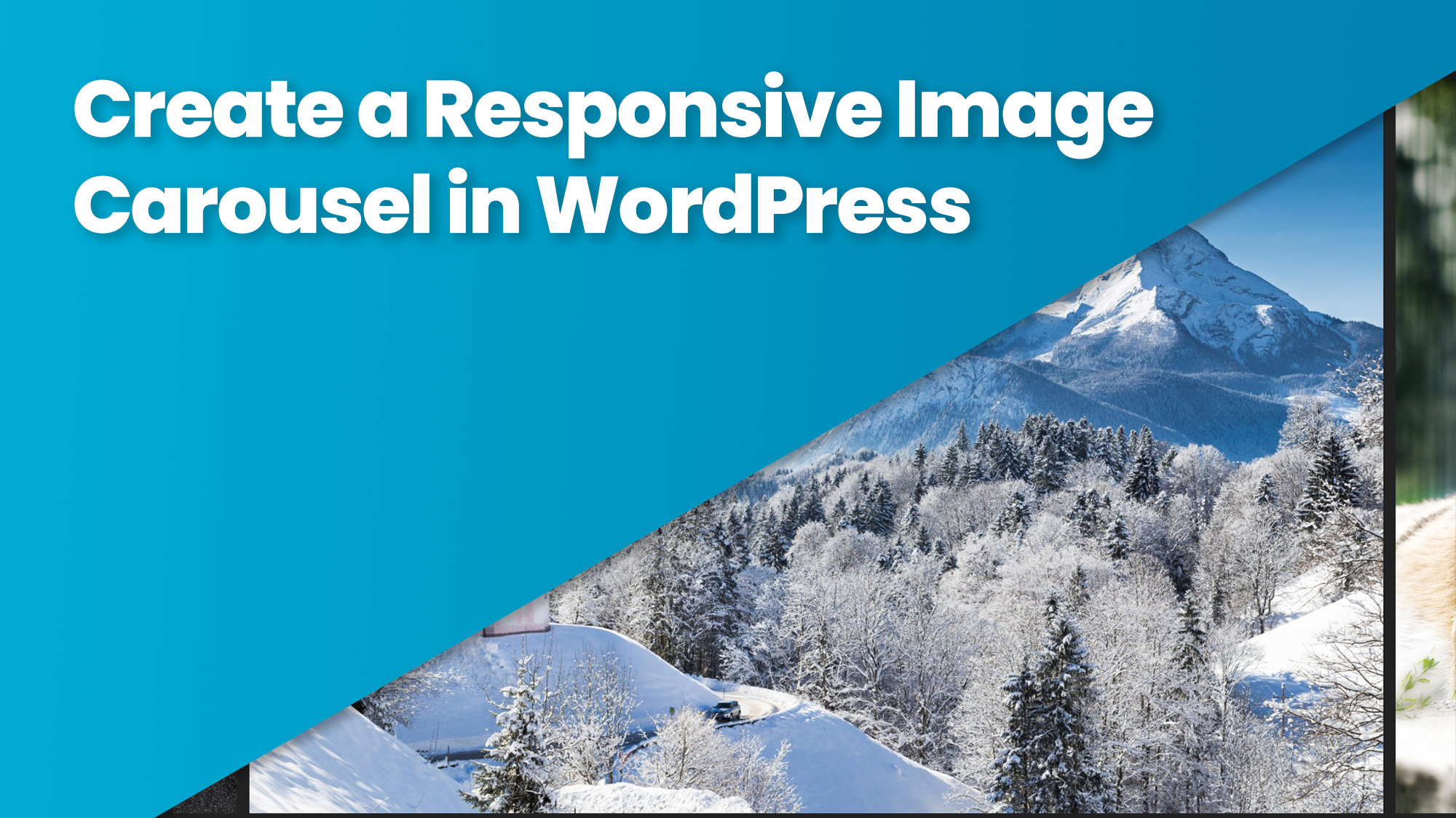 Create a Responsive Image Carousel in WordPress