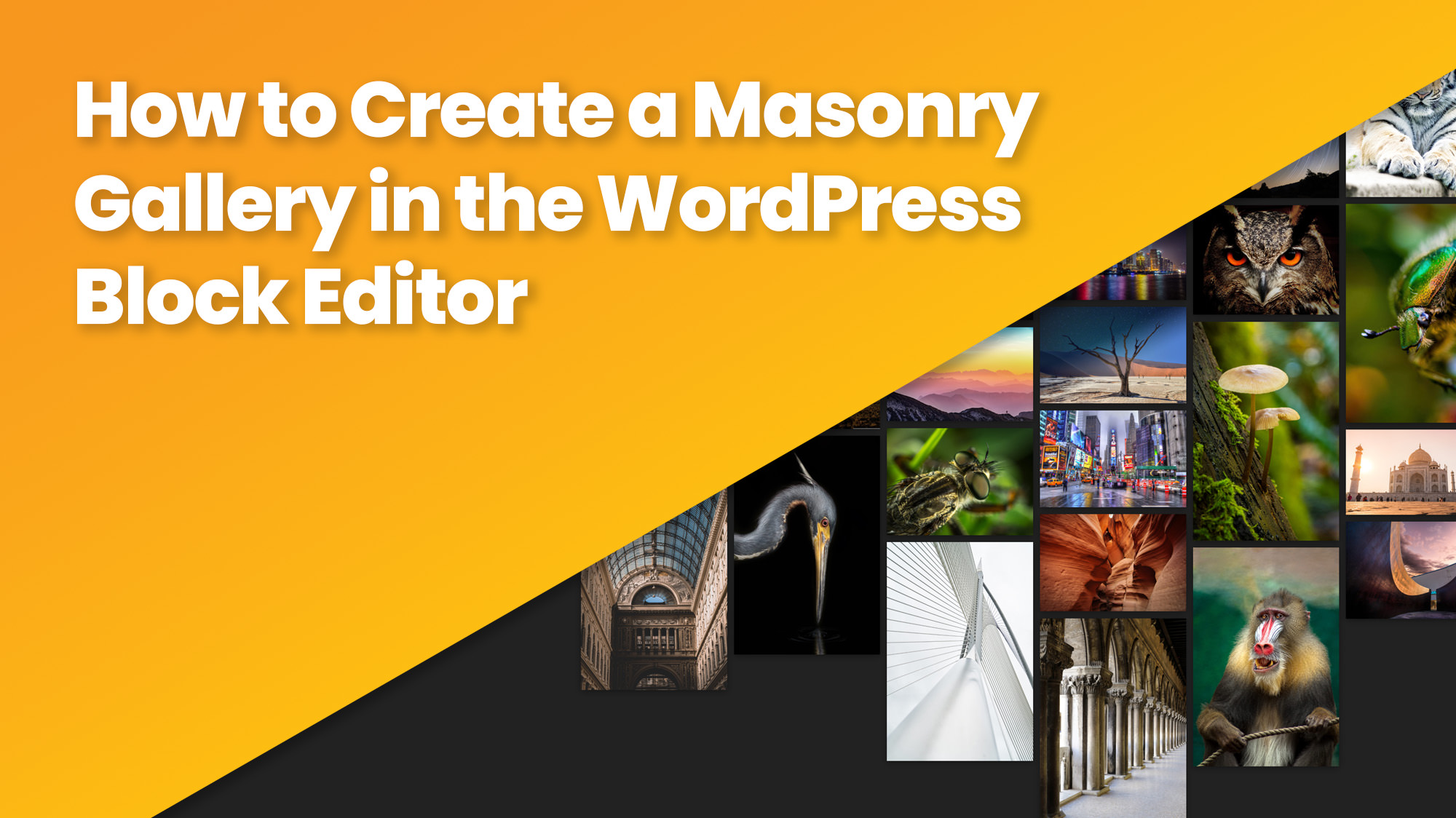 How to Create a Masonry Gallery in the WordPress Block Editor (Gutenberg)