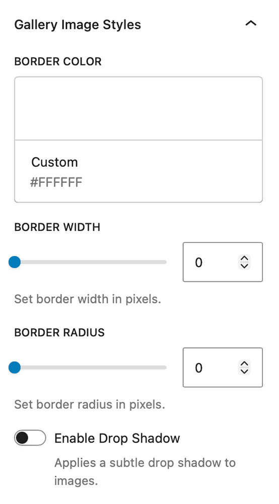 The Gallery Image Styles panel in the Modular Gallery Block. 