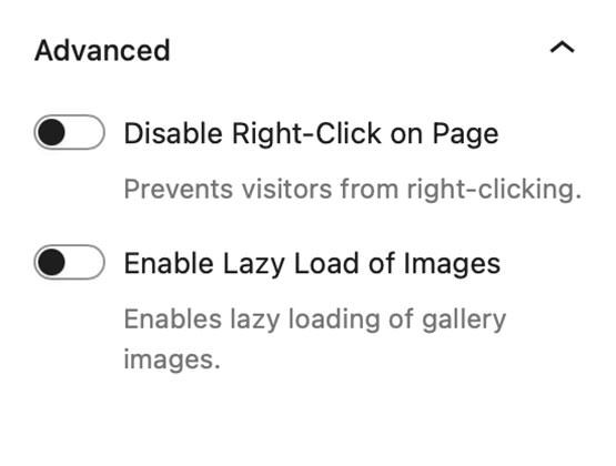 Modular Gallery Block - Advanced Settings Panel