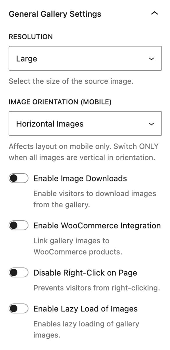 Carousel Gallery Block - General Gallery Settings