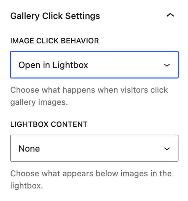 Gallery Click Settings - Open in Lightbox