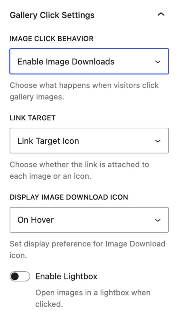 Gallery Click Settings - Enable Image Downloads