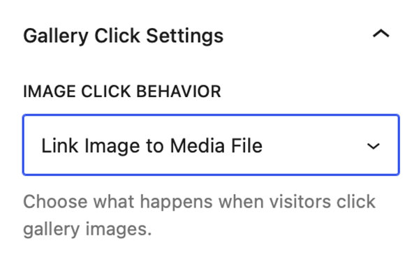 Gallery Click Settings - Link to Media File