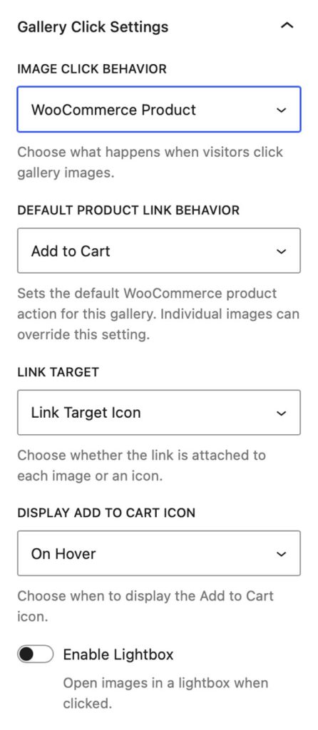 Gallery Click Settings - WooCommerce Product