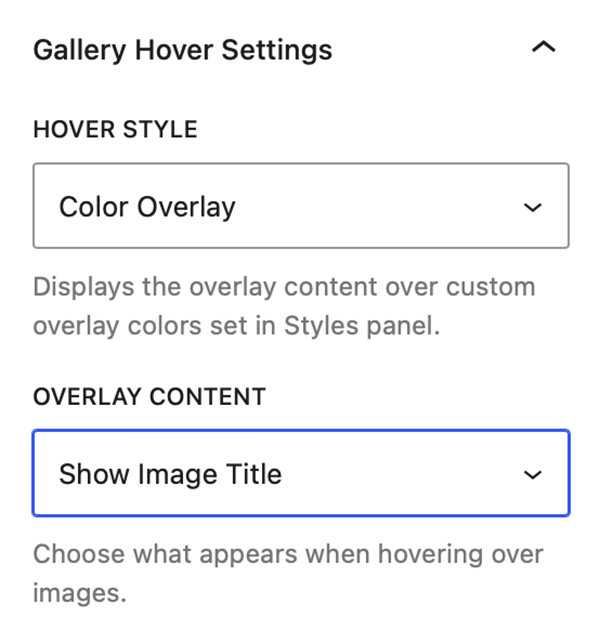 Gallery Hover Settings