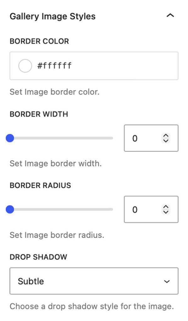 The Gallery Image Styles panel in the Modular Gallery Block. 