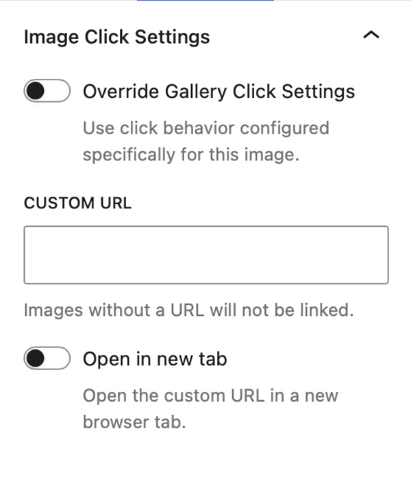 Linking to a Custom URL on the gallery's inner Image Blocks