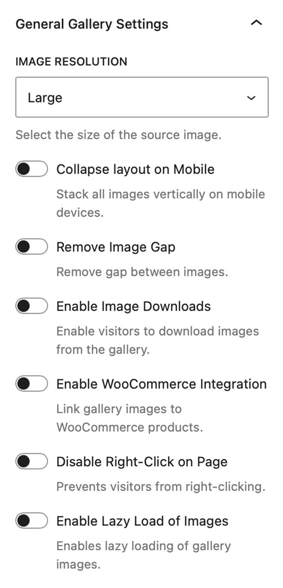 Modular Gallery Block - General Gallery Settings