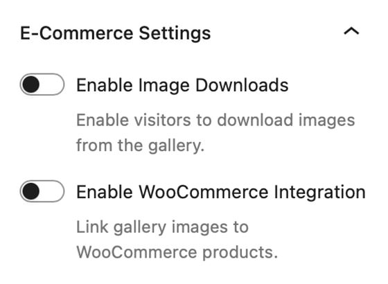 E-Commerce Settings Panel on the Modular Gallery Block