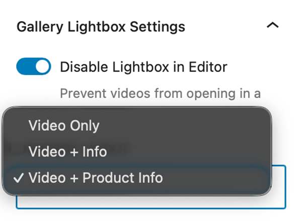Gallery Lightbox Settings when Enable WooCommerce Integration is activated