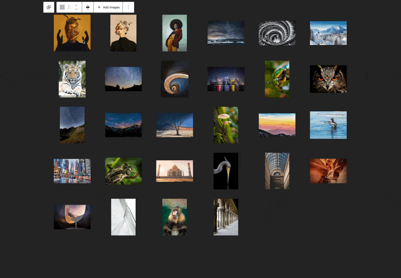 New Block Transforms feature in action. 