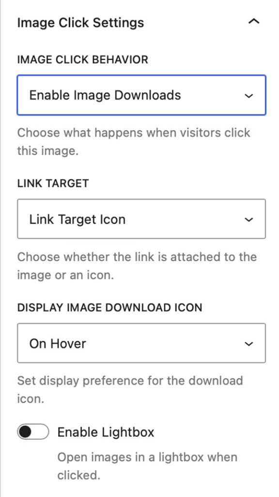 Image Block - Enable Downloads