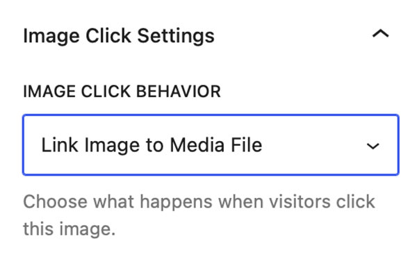 Image Block - Link to Media File