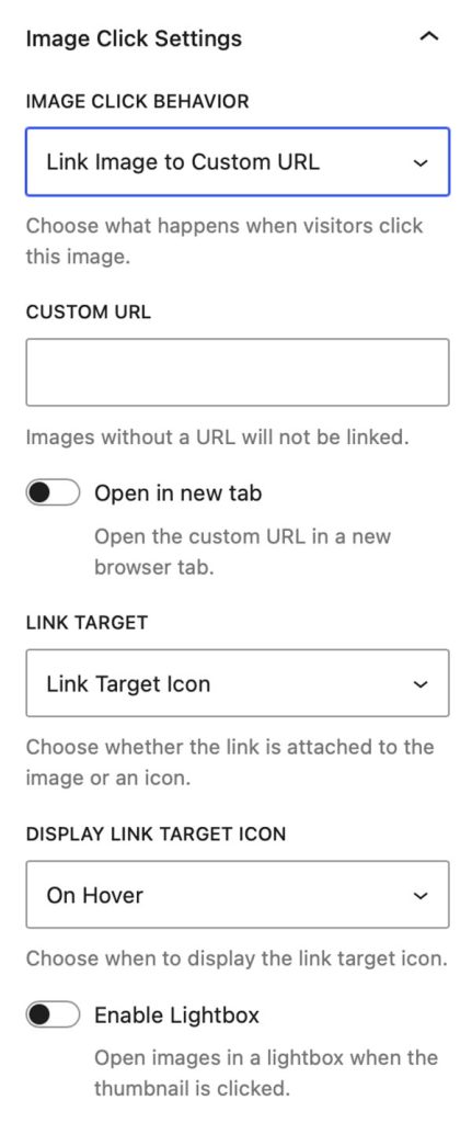 Image Block - Link to Custom URL