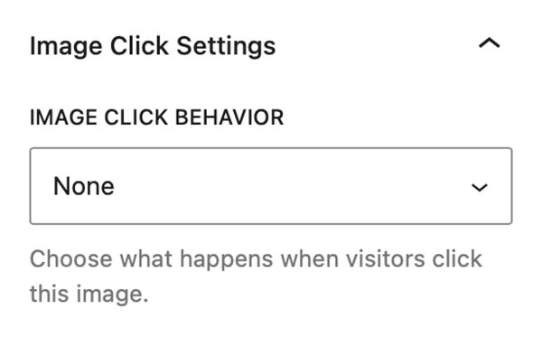 Image Block Click Settings