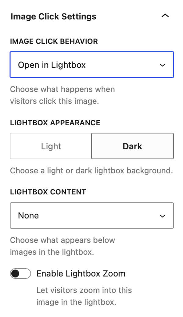 Open in Lightbox settings on Image Block