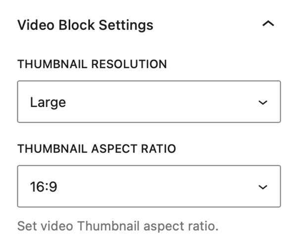 Video Block Settings
